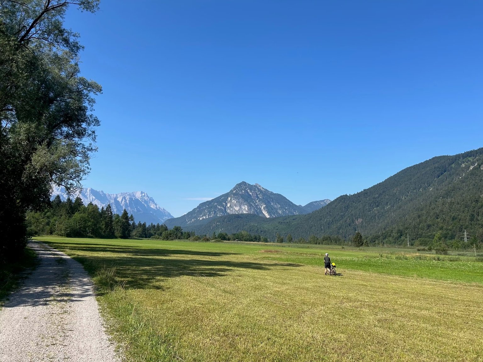 Paragliders
