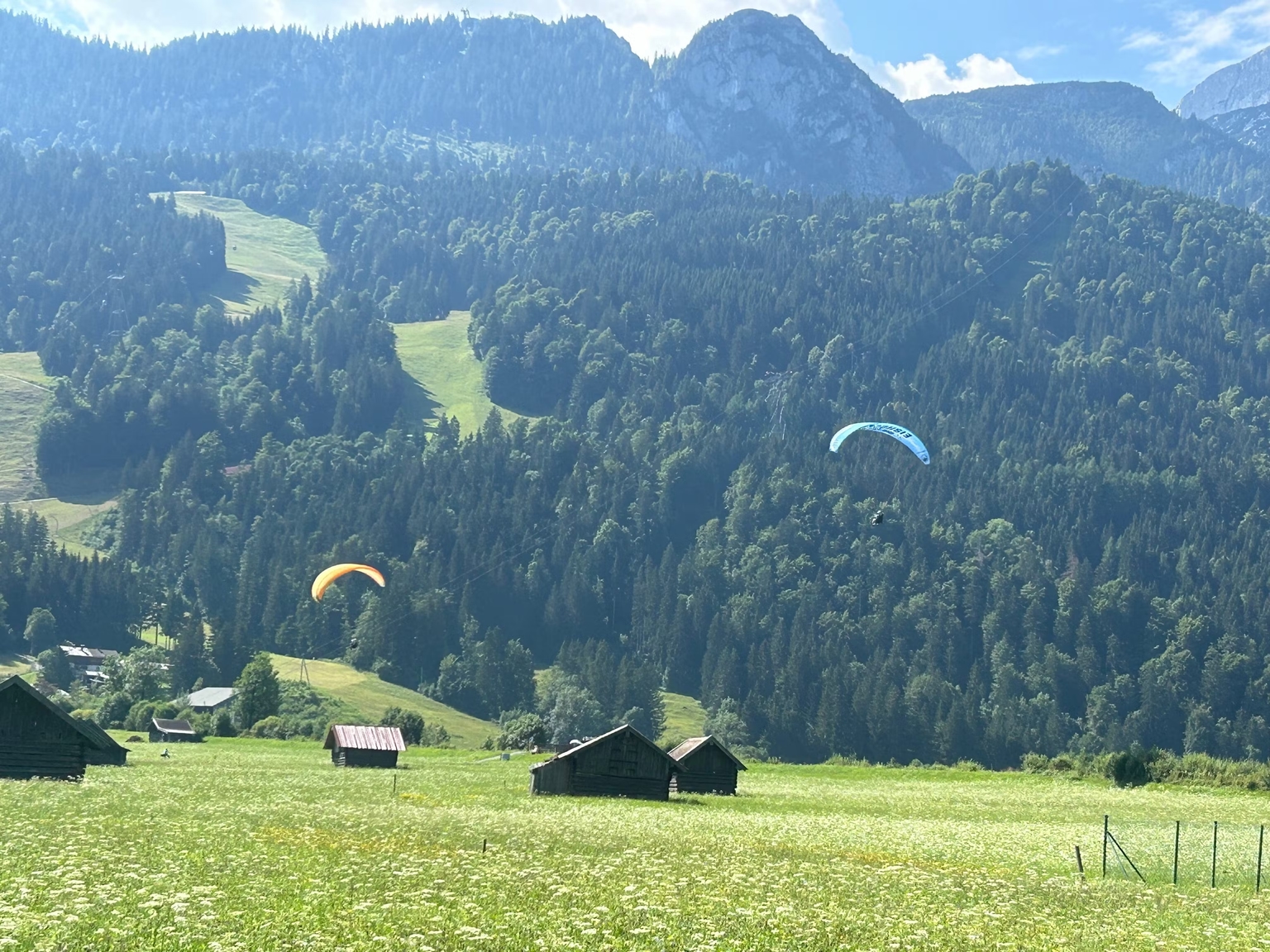 Paragliders