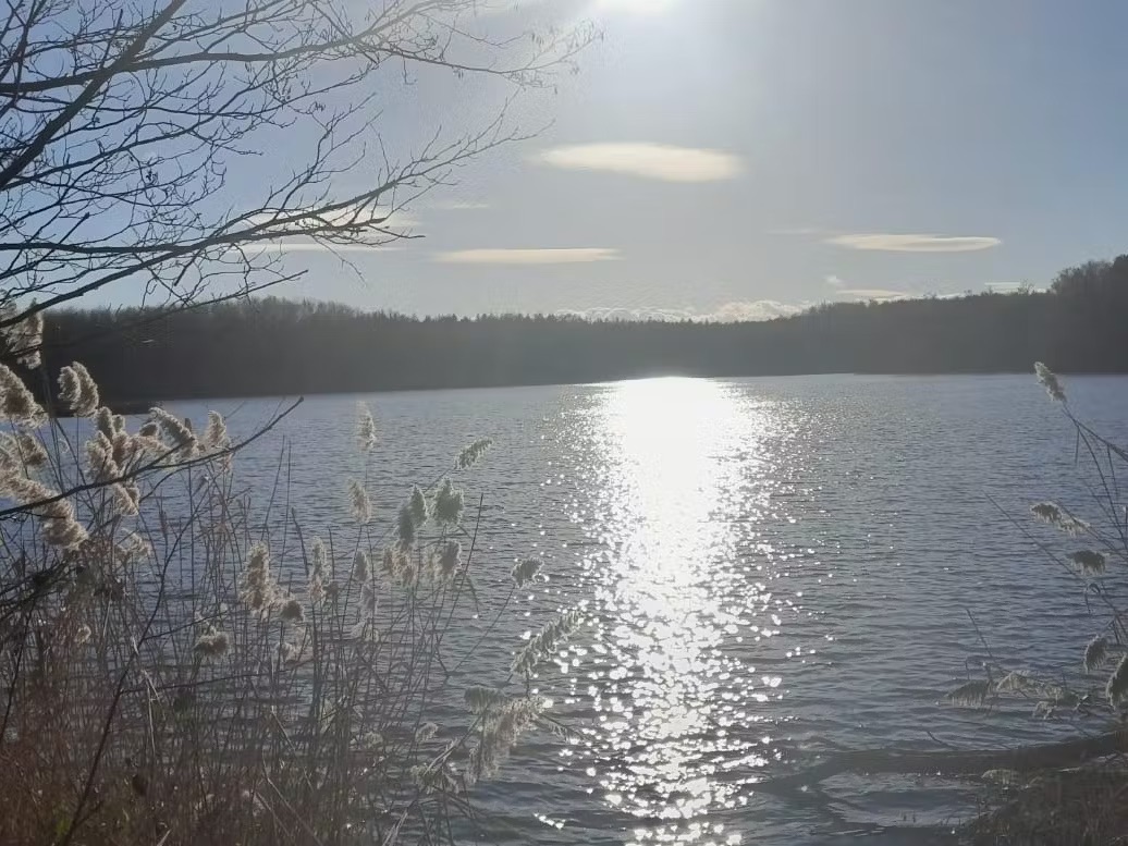 a lake in villewald